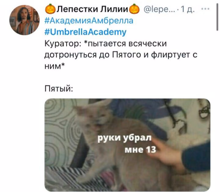 58cb9e889afd9fc4992e0e37def9e7e0.jpg