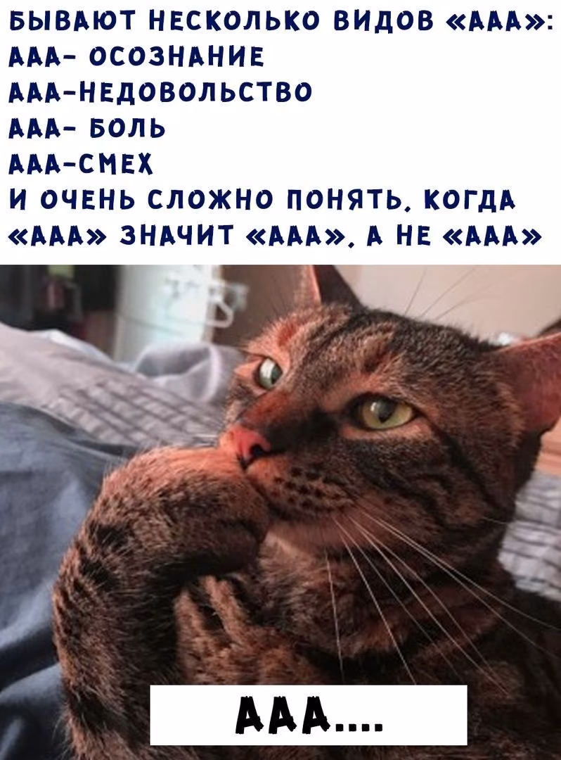 58db9ca2a7912b78b5be4e7418f053f0.jpg
