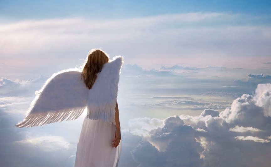 58f050f9777568e10a8e80eebe898ff3.avif