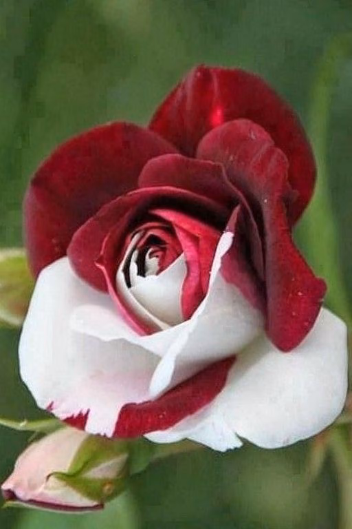 58fbfab9e0508863b8fc17d4fb9dced6.avif