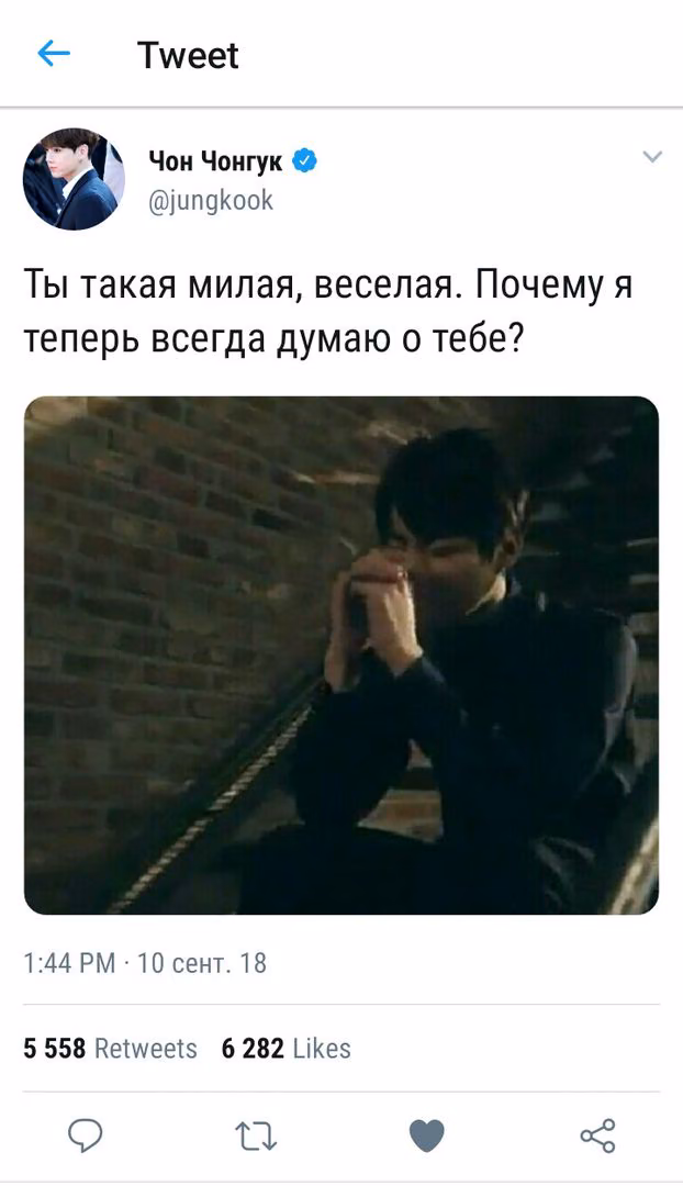 590336657731304cd62b0a9b2c13b13c.avif