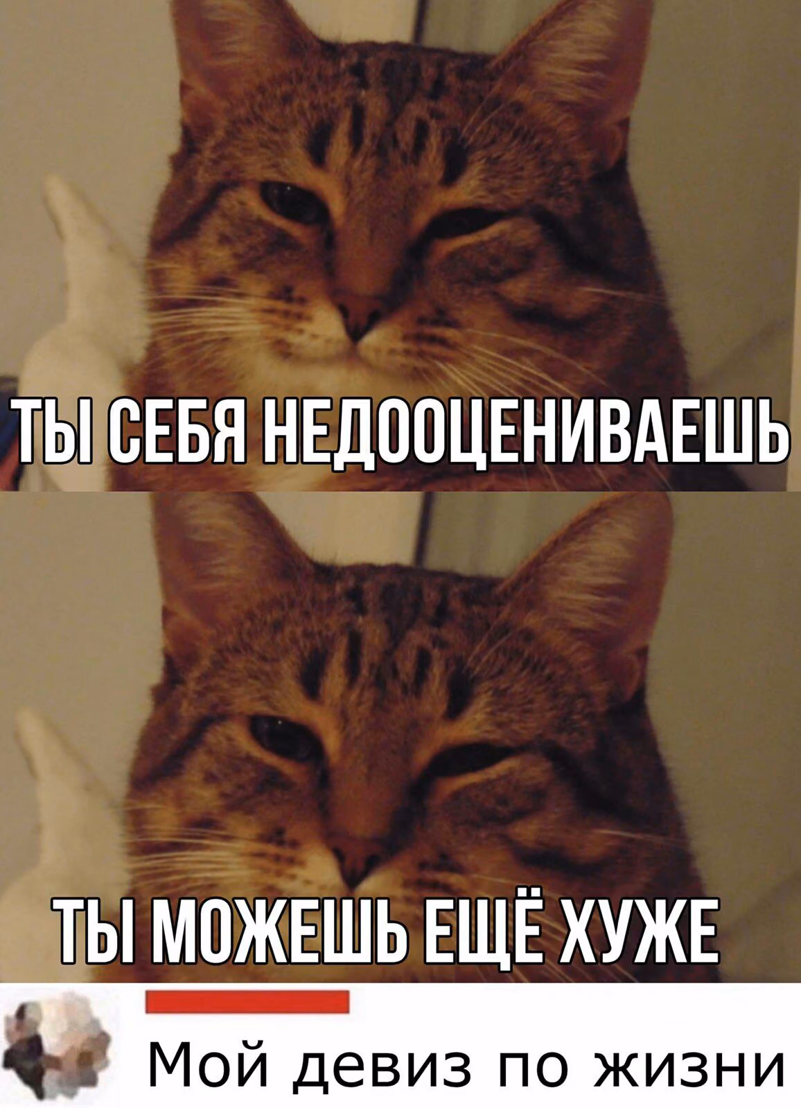 59088d82394765ea54e46d1e11a31cb5.jpg