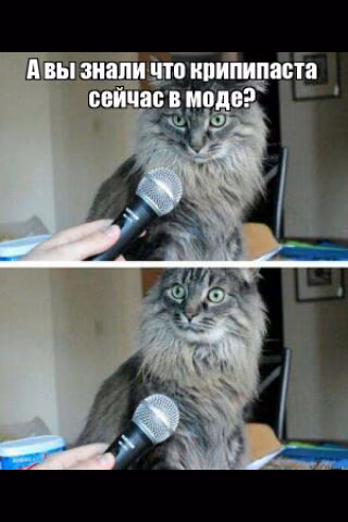 59101cc7024ee62a3d24c4f2fb22e3b3.jpg