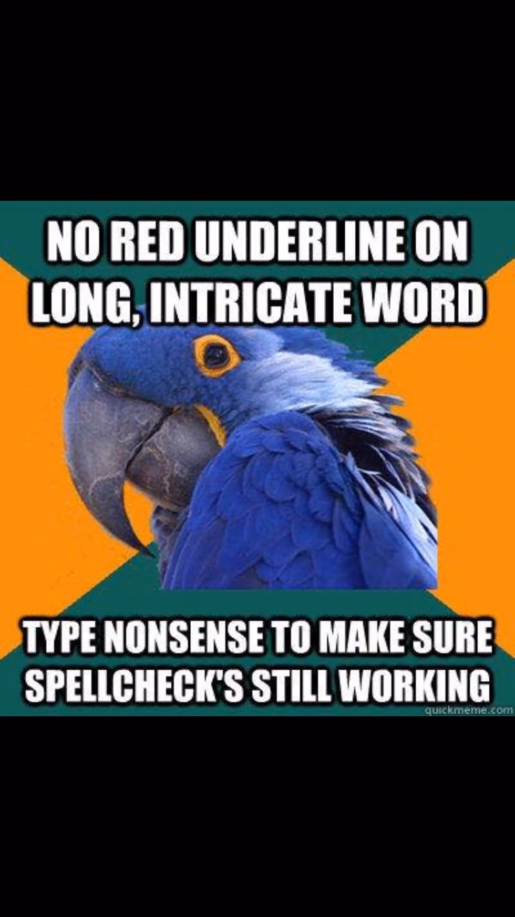 591e5bede60773c05d42c4a2971fe321.jpg