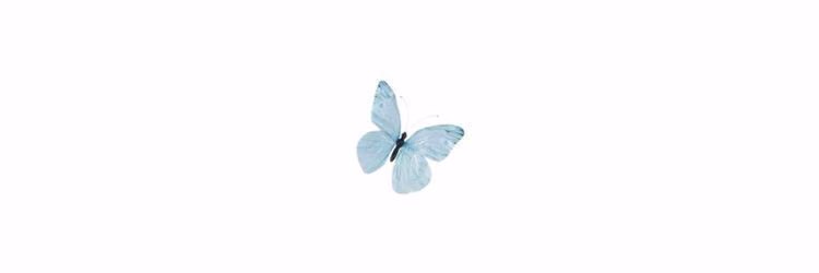 592e9554c890e535222fb0eac1179a97.avif