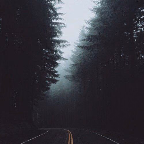 5948649b562c97c3d08cbc9ccef9e9ad.avif