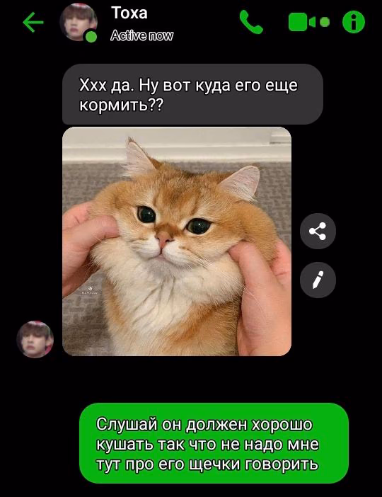 595d3bdd194cbbc92f2103cf4cefa333.jpg