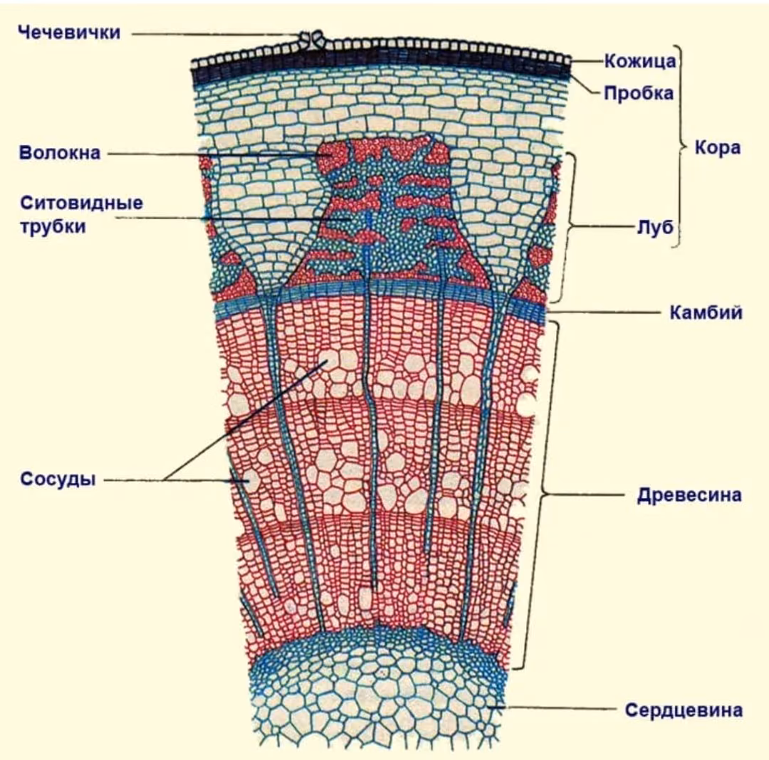 595ecc6898ae1a253b033b8926198f12.jpg