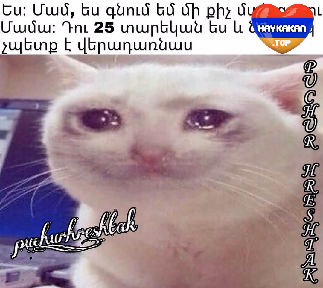 596cb7d762daff04b4d93b4b8d804dad.avif