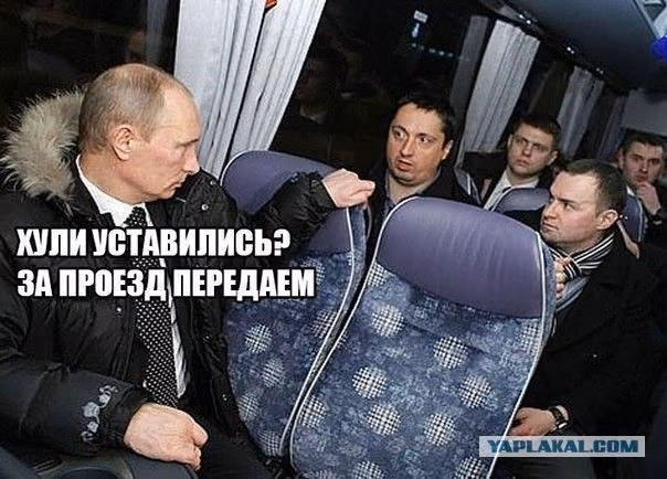 597cf38a40f51188ea78519d16b6c6da.avif