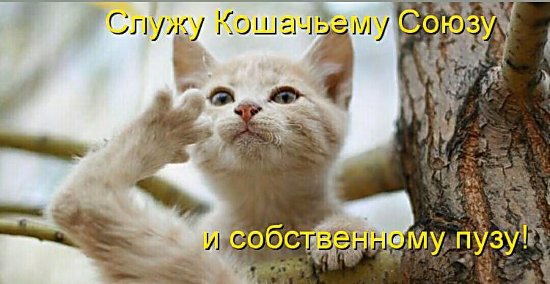 59865d3ef0d7806554ea67d3c4005d37.jpg