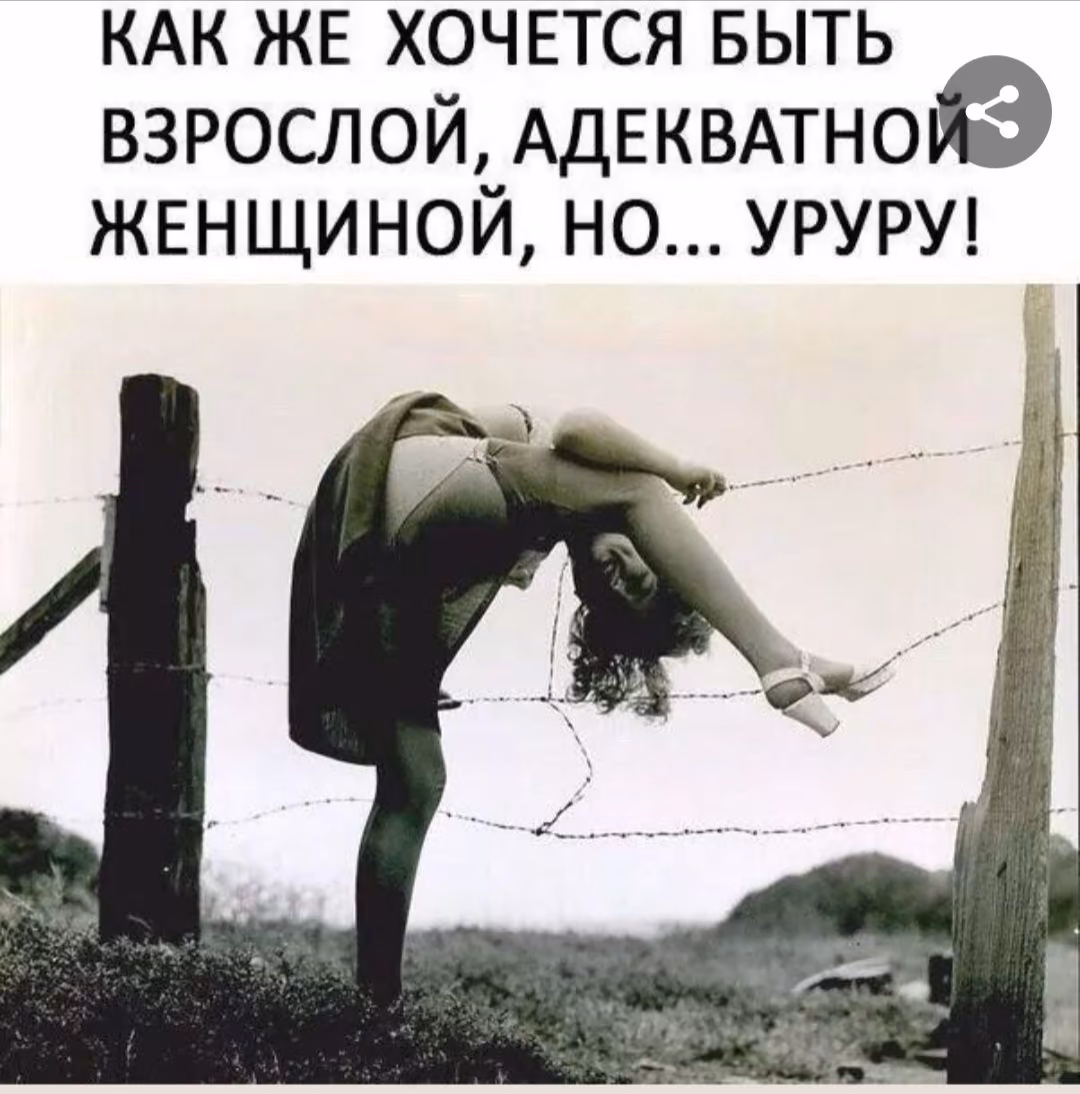 5997f03b691c3ec2c2e562a7c3e24935.avif