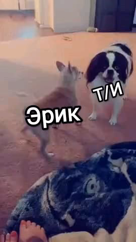 5999737581e48af9d9c901cdc39fe0dd.avif