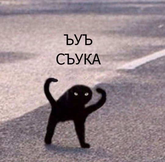 59b00b46b9478ad2605878654e27ebbc.avif