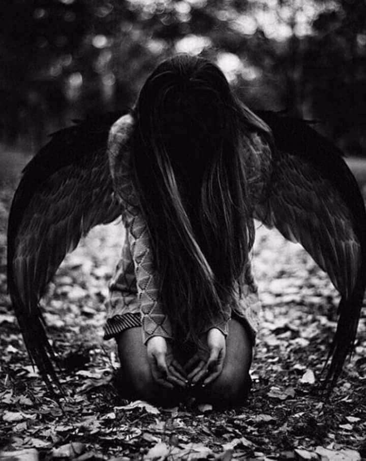 59b1aae3ed3f1dce508fc92a8b7d4c43.avif