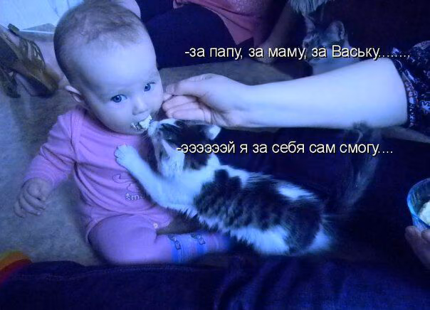 59b3cdd3182f06a5a636b47309835b24.avif