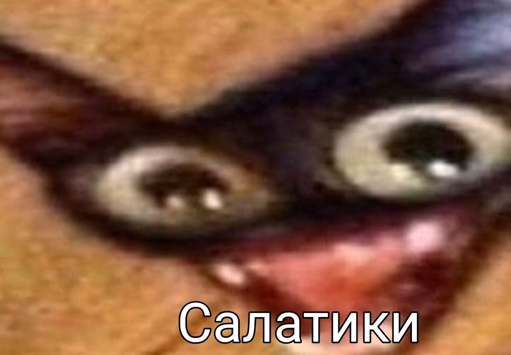 59c2d25d90984ea14569644eb7d16917.avif
