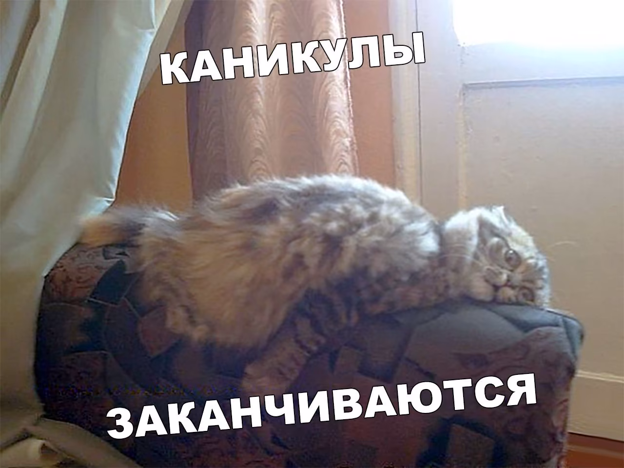 59dde7db32167195b4fe8afa5df349e1.jpg
