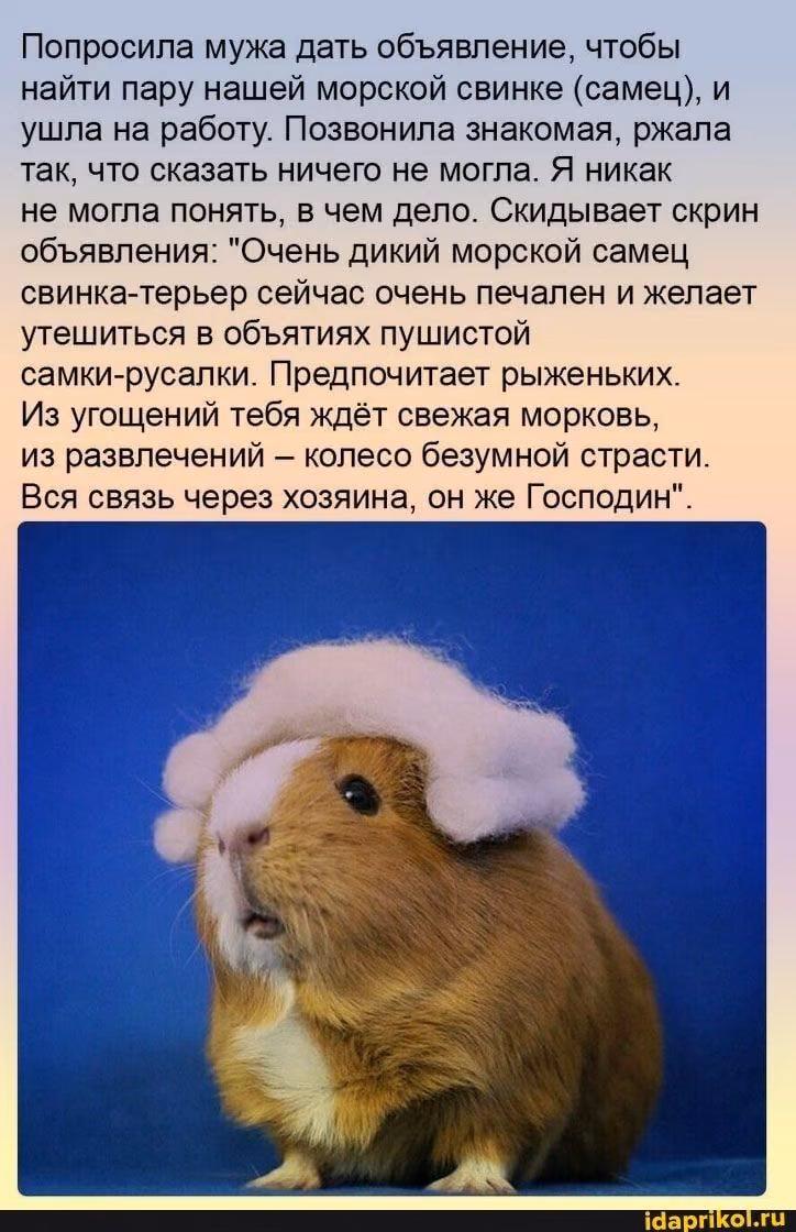 59df611a619d93b38e0b625f4e82ba6d.jpg