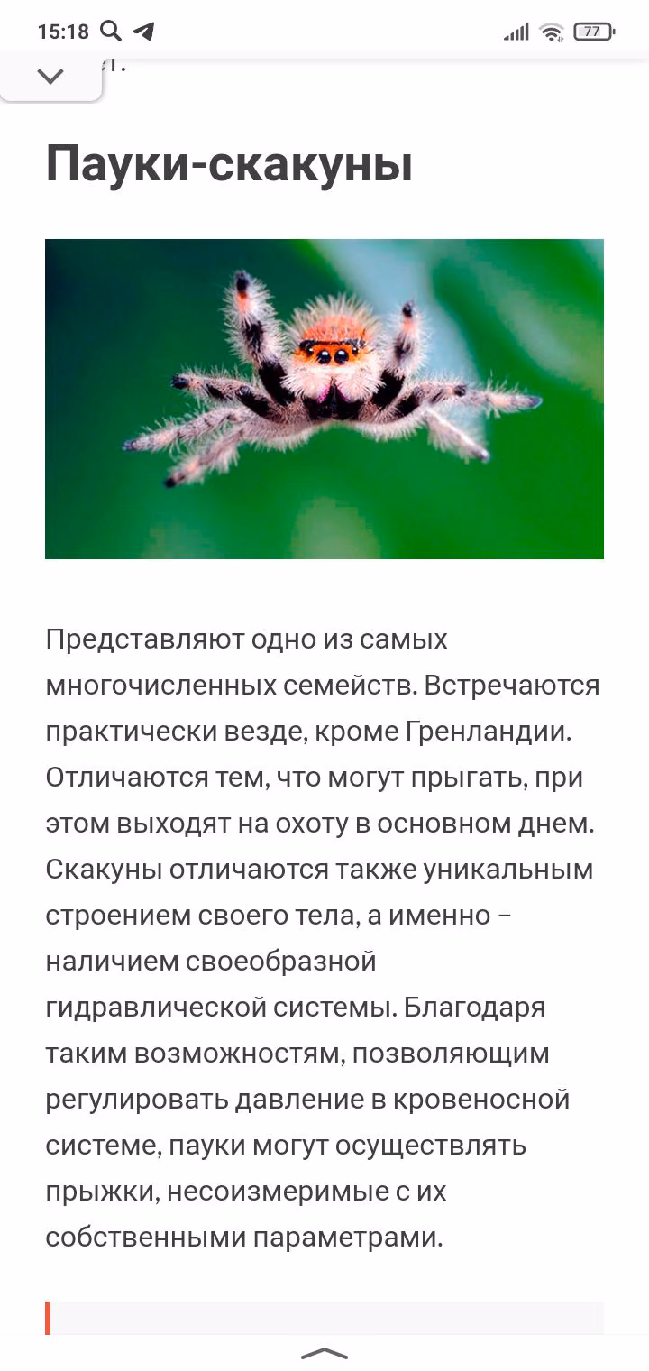 59e8943c822e99bf5a4fa81a268c4c0f.jpg