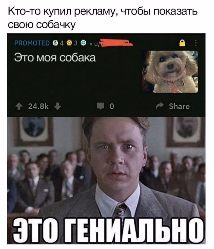 59ea51241c27b8e25c5fc5786ed57a45.avif