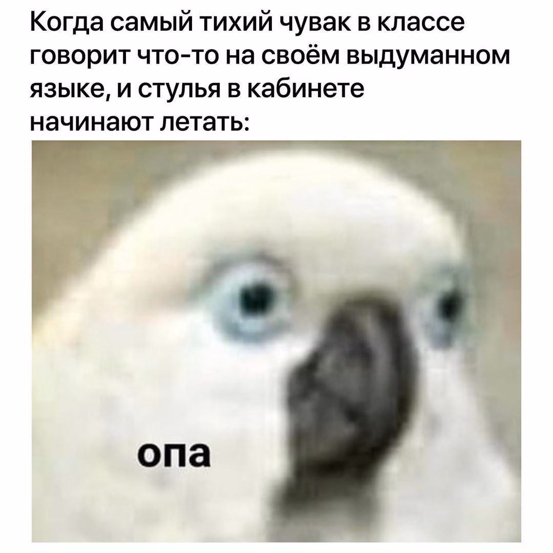 59ee2e5b3205de2cc326ac61f869c9f2.jpg