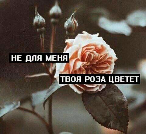 59f8490b0330058bef39a1613d5ff66d.jpg