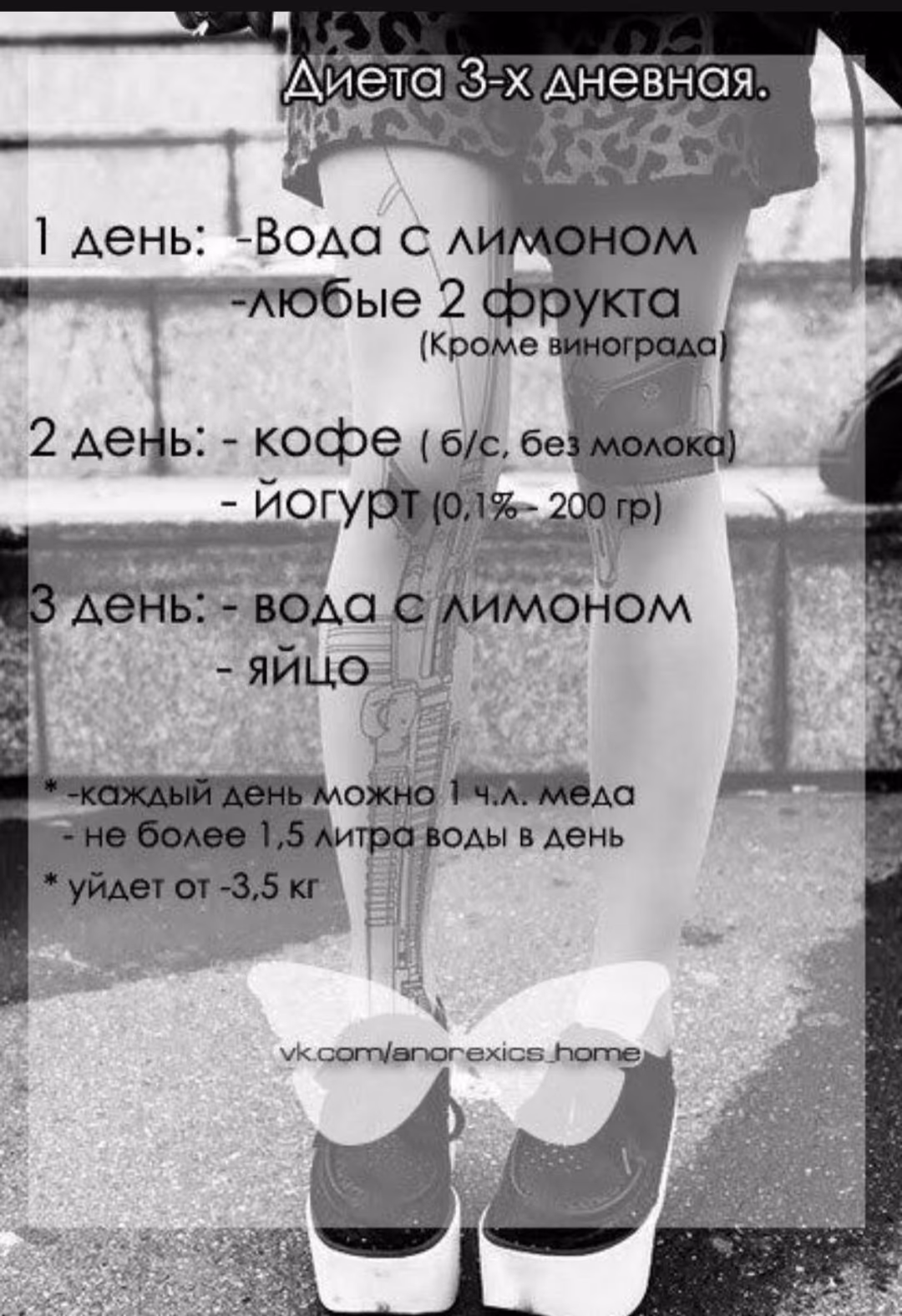 5a18d6cbf82afbe358b28c6575595dfa.avif