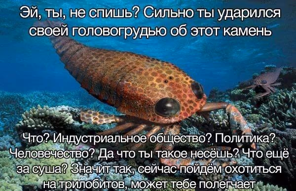 5a1f64a7196643d44d4894dad155eebb.avif