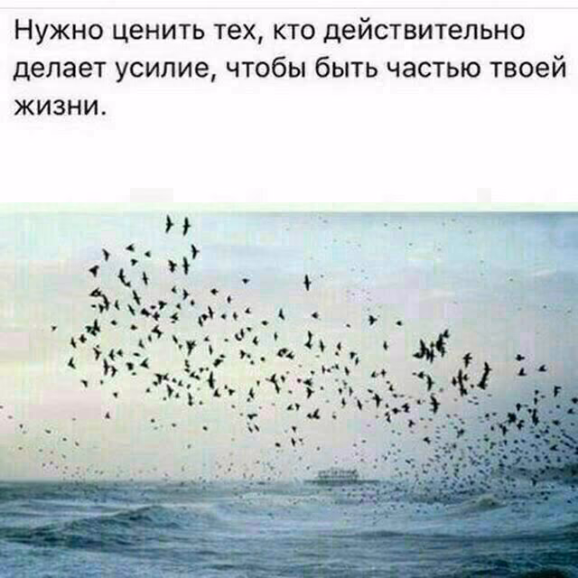 5a40c208e4153d8bf3ad9a0fce530783.jpg