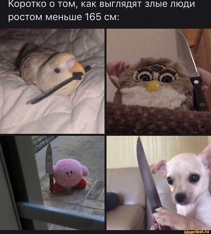 5a42d5e0bd7979684c50280031cf3be7.avif