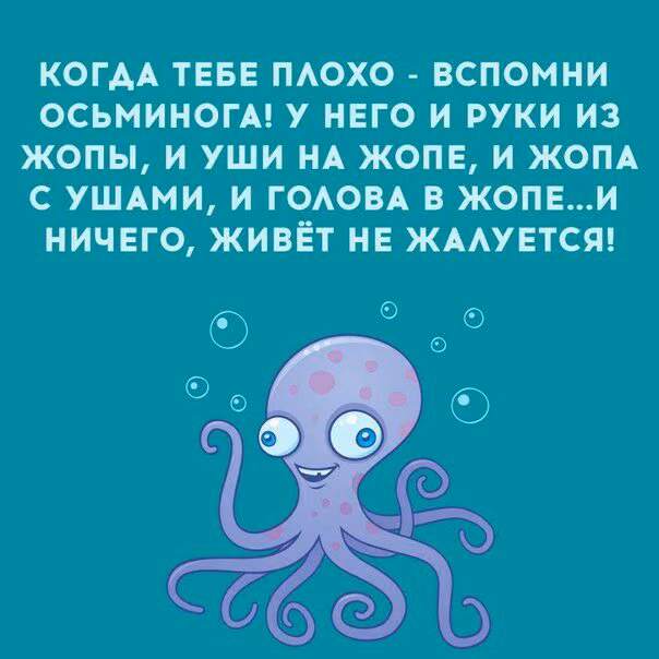 5a47946e1a655cd2165ae2e4fbb9303f.jpg