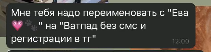 5a51c84808b3ef98b704b454f290db79.avif