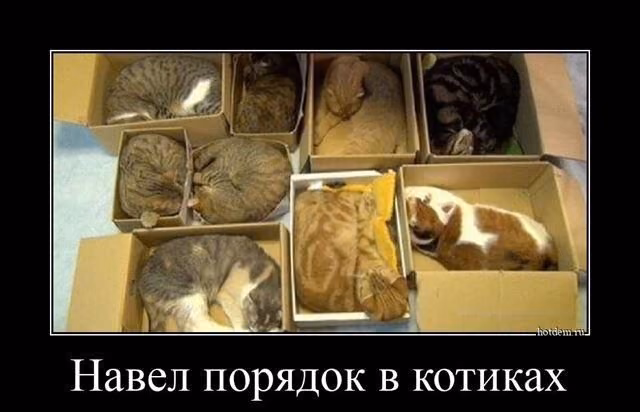 5a58049afe4a275e2f5ca8be5a31c9a0.jpg