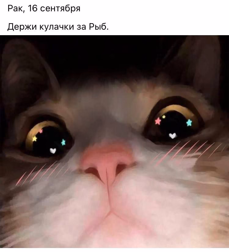 5a63584009e6f36d05a5846801877e6a.jpg