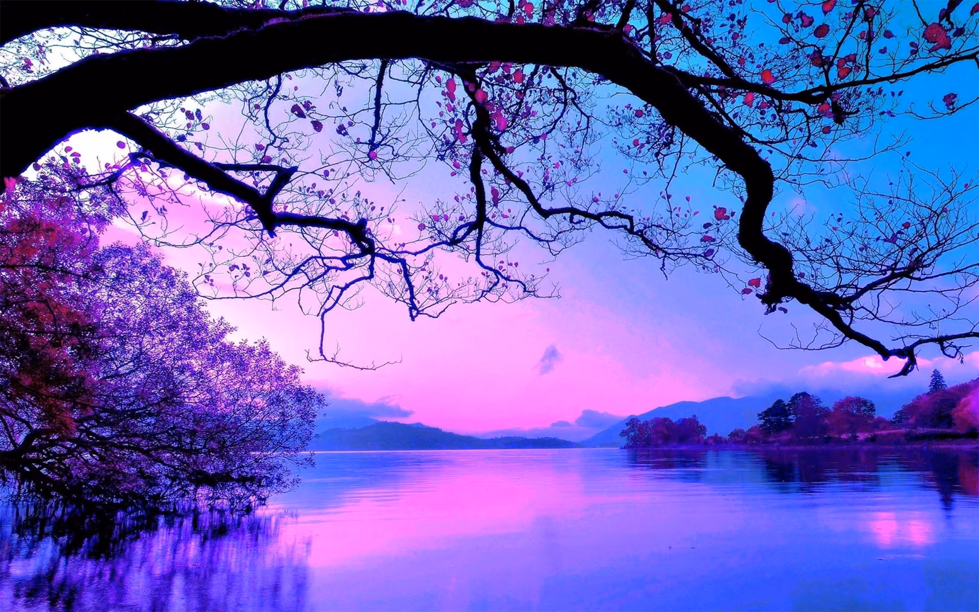 5a6ff7760827f6a10fc4efd8cdde8478.jpg