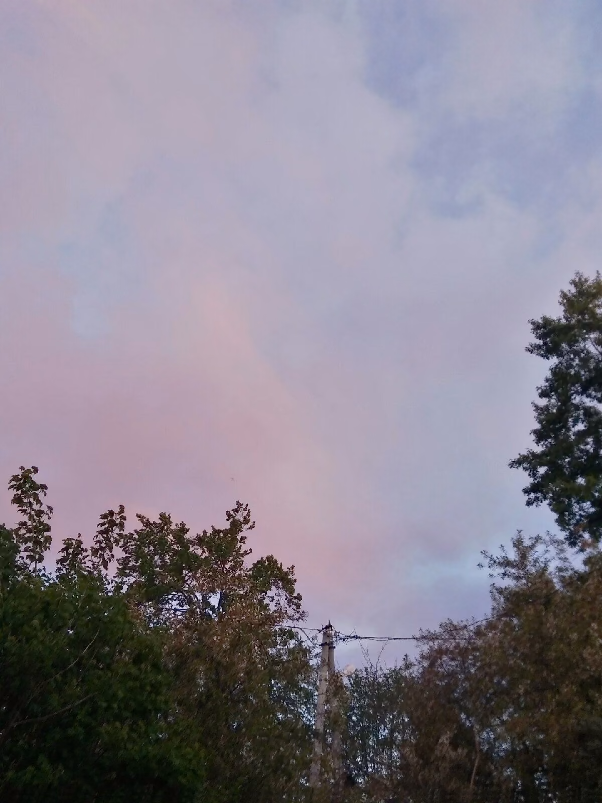 5a88e533162005c1970cdeade2d0a766.jpg