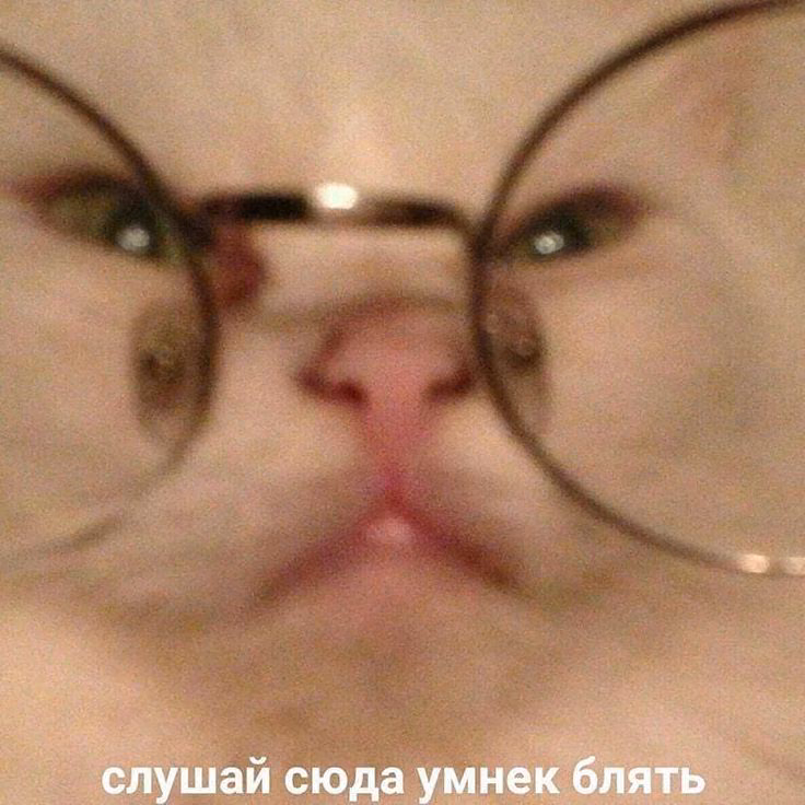 5a9bbe2f2db129f889e9fd4ca5fcb06e.jpg