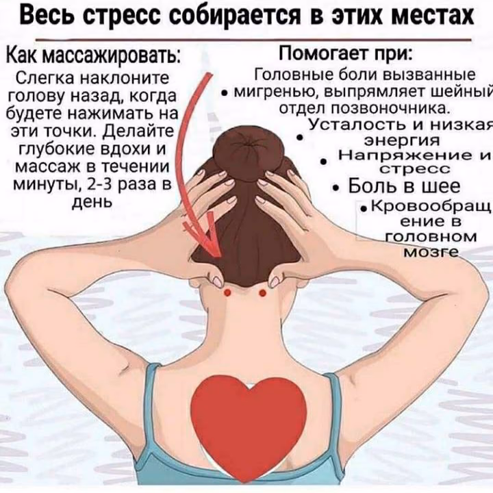 5a9d57d593fb857cfbcf358169041a39.avif