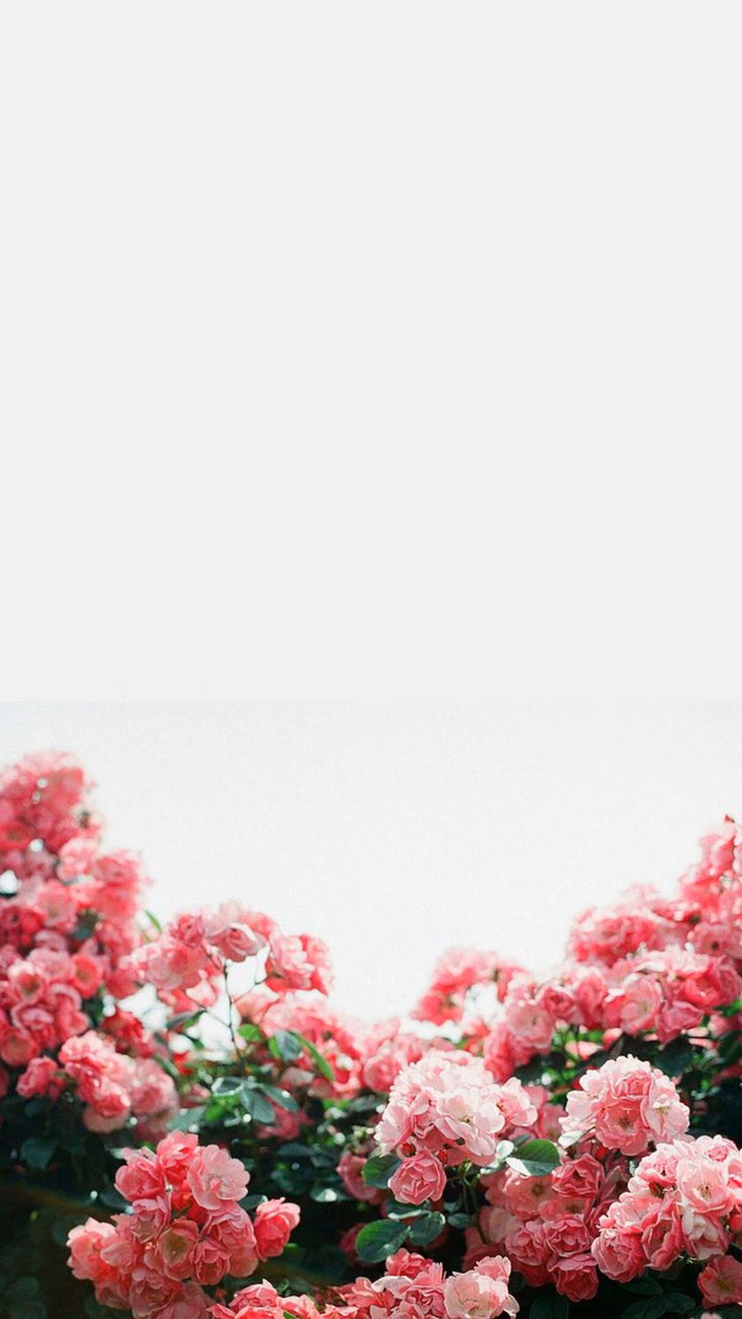 5a9f78b858835f72dd9b062cbac1e539.jpg