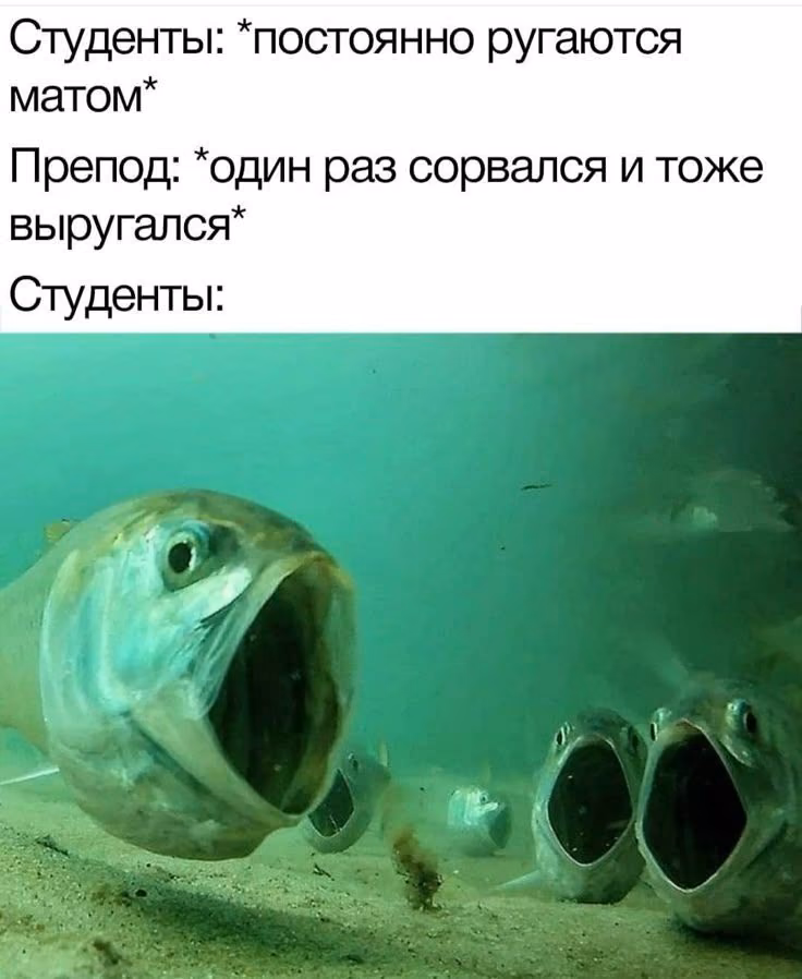 5a9fe2890826ab3f69c2bfb0ea84922a.avif