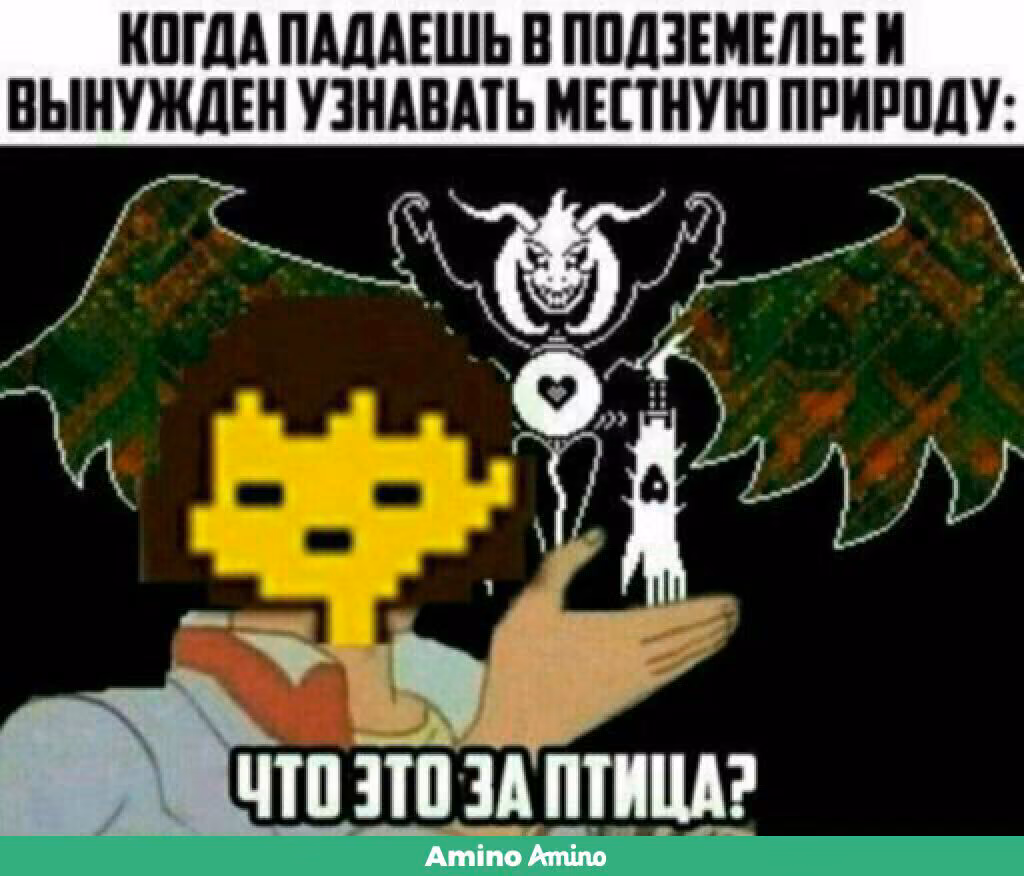 5aa5ffef896fd073777135df203fd790.jpg