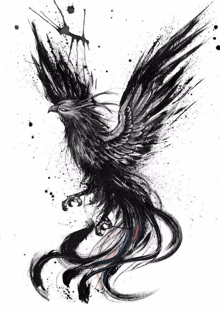5acaf63b9f4f9d51bf8071df51e81dfe.avif