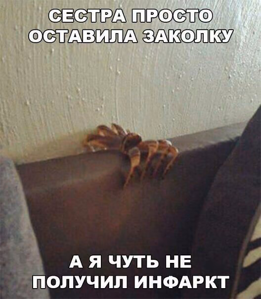 5ad60a7b447db7c732d17c830f8bc77a.jpg