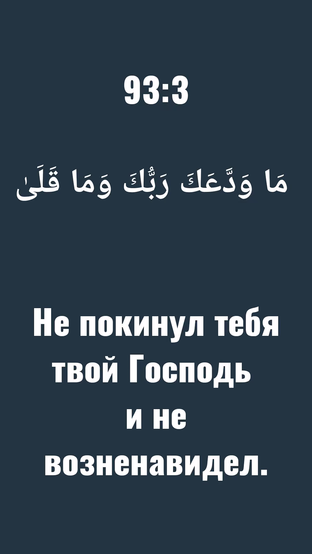 5ae02680c5aa32fb3c9ab4d89478b0ab.jpg