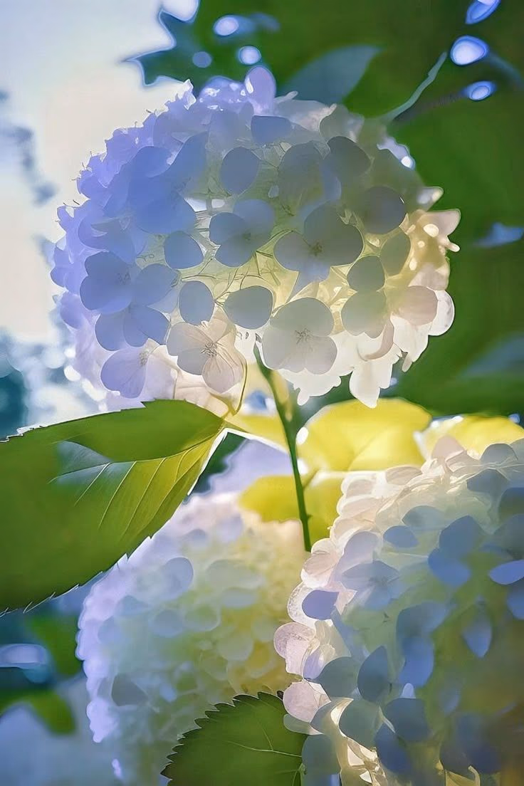 5af01bde9e73149c09b2f5f4784b1cc2.avif