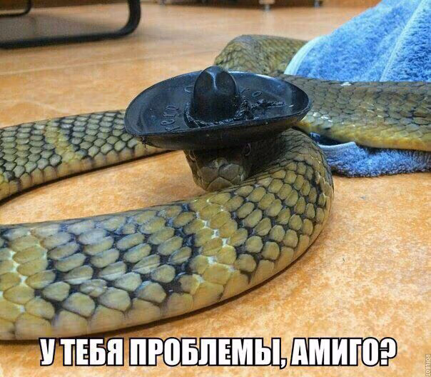 5af839c1366e61dc20242e5d0434bf6f.avif
