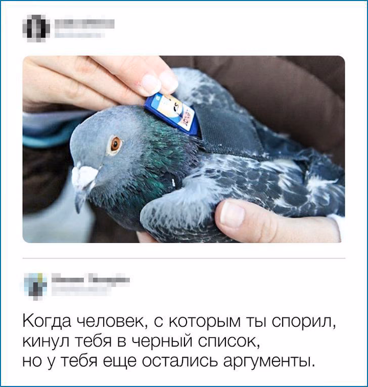 5af97d14fb7ce2b9fa8ead865597618f.avif