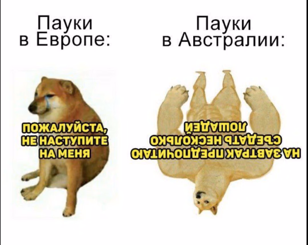 5b0fe1e3c3dc226a6fc1622e63e97880.avif