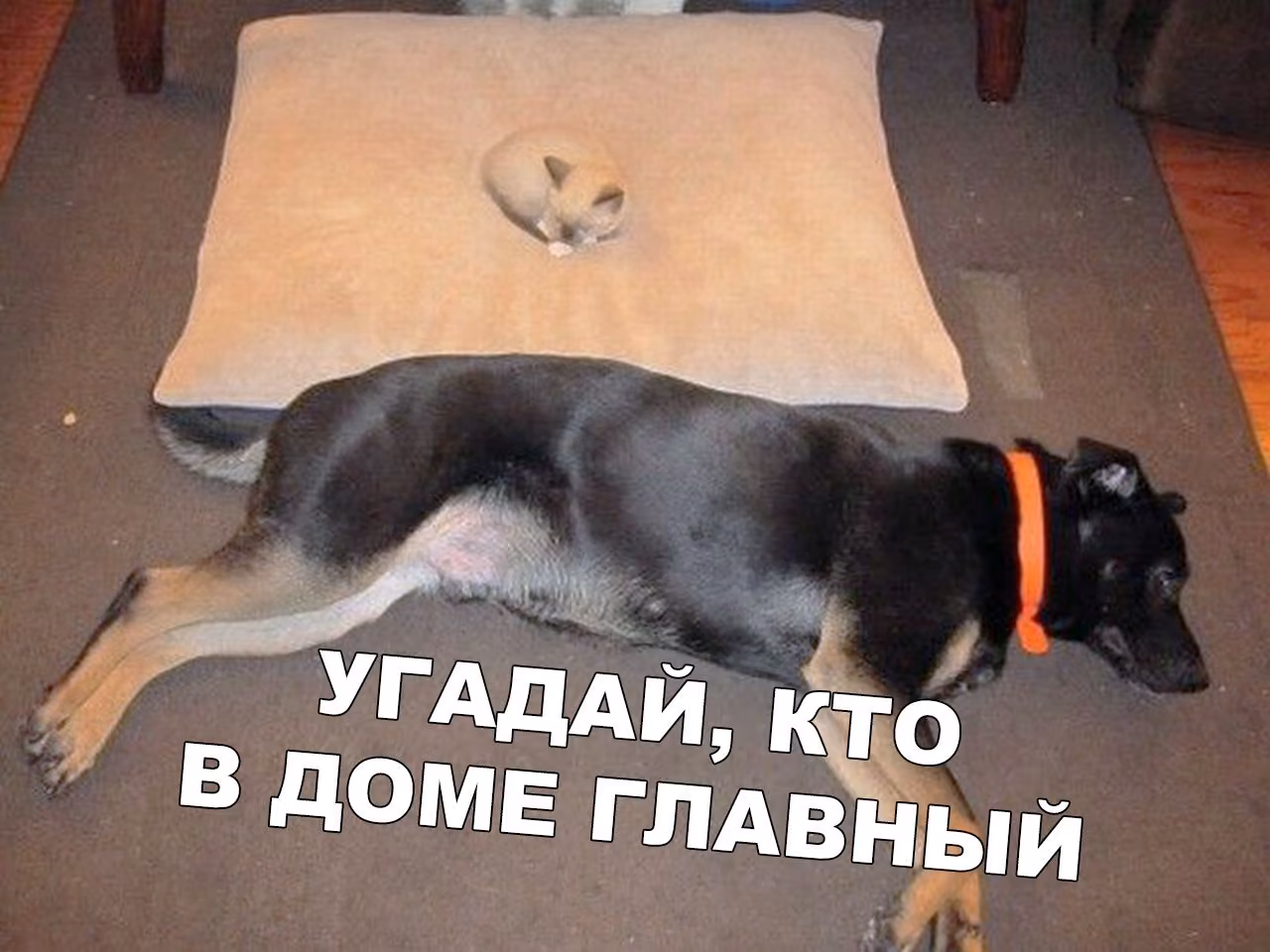 5b17ab0bb7100a988a3b6aee58318ee4.jpg